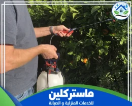 شركة مكافحة حشرات بتبوك